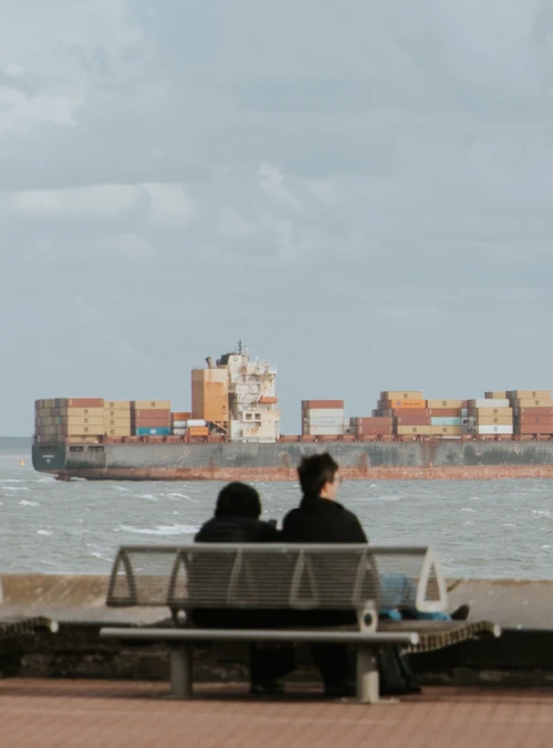 Picture of people and a container vessel near the Vlissingen sub-area of North Sea Port.