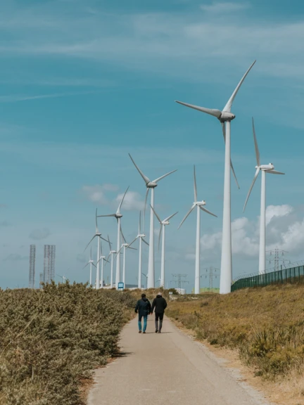 Picture of people taking a stroll in the dunes in the Vlissingen port area of Nort Sea Port.