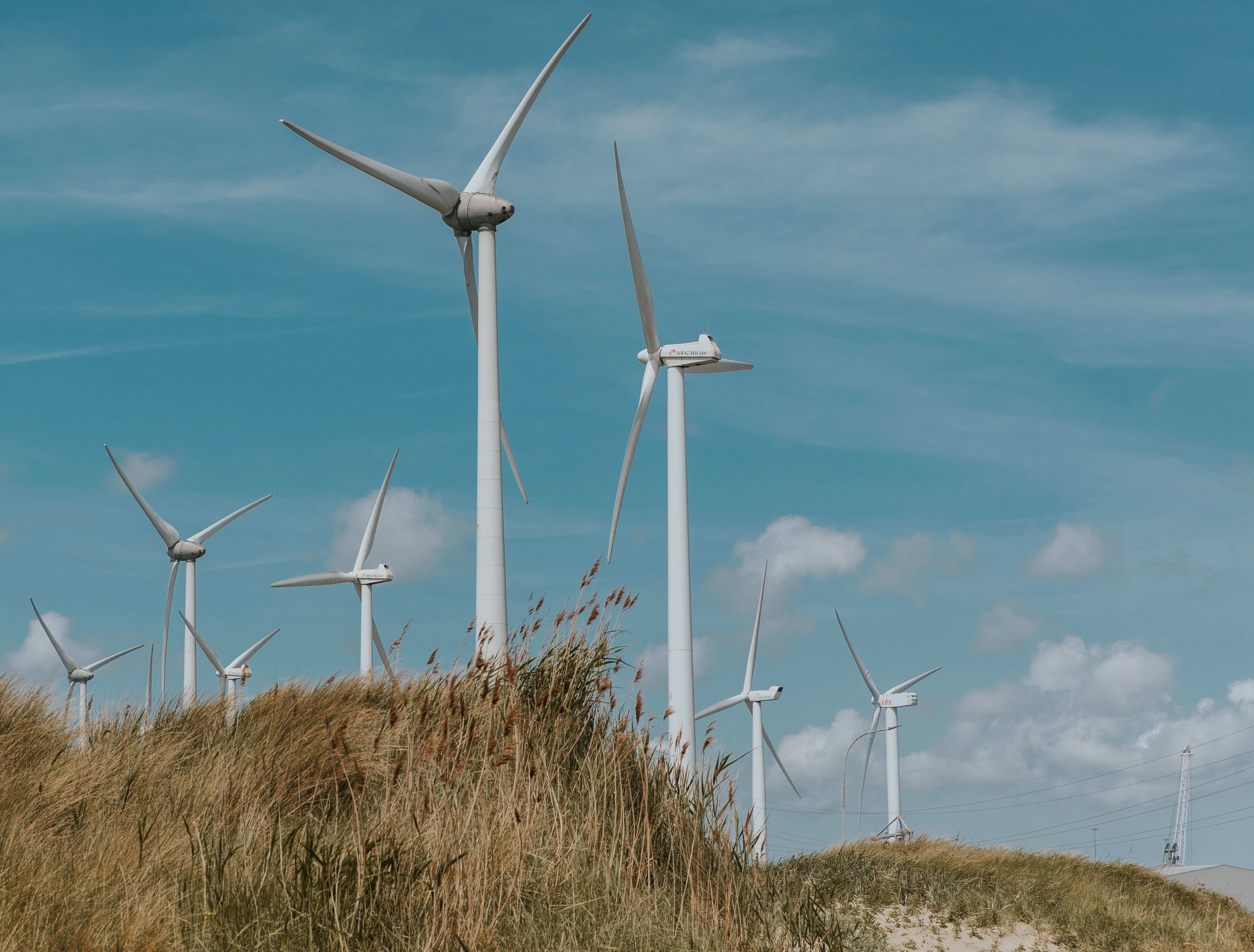 Picture of wind turbines and dunes in North Sea Port’s Vlissingen sub-area.