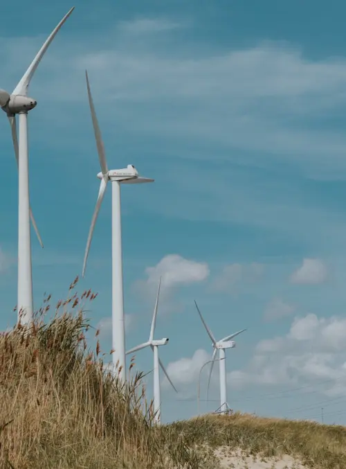 Foto van windturbines en duinen in het Vlissingse havengebied van Nort Sea Port.